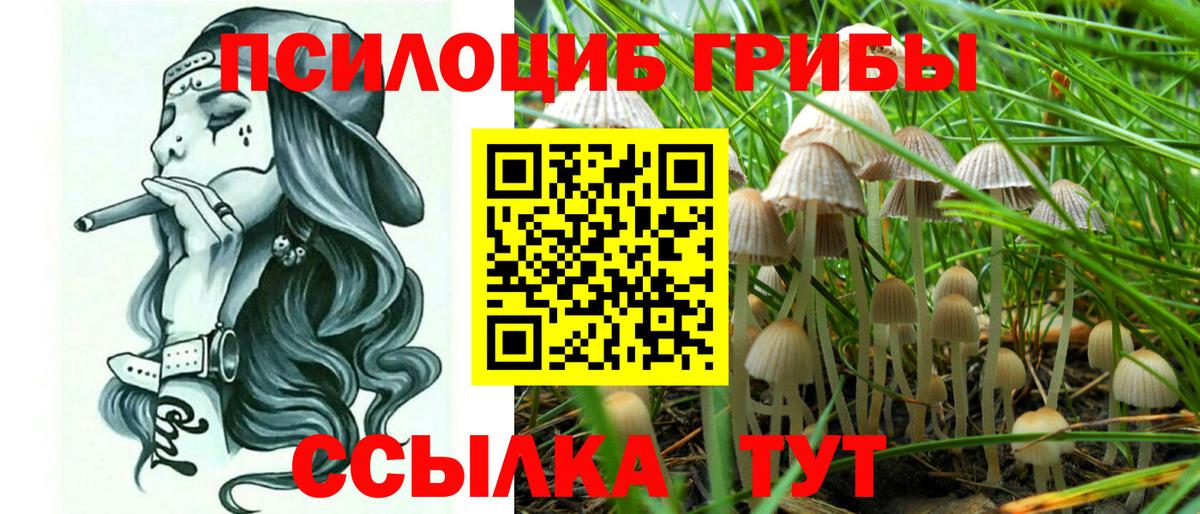 что такое   Вход с VPN  Губаха  Псилоцибиновые грибы прущие грибы 