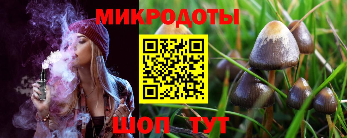Псилоцибиновые грибы прущие грибы Губаха